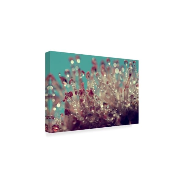 Incredi 'My Summer Garden' Canvas Art,30x47